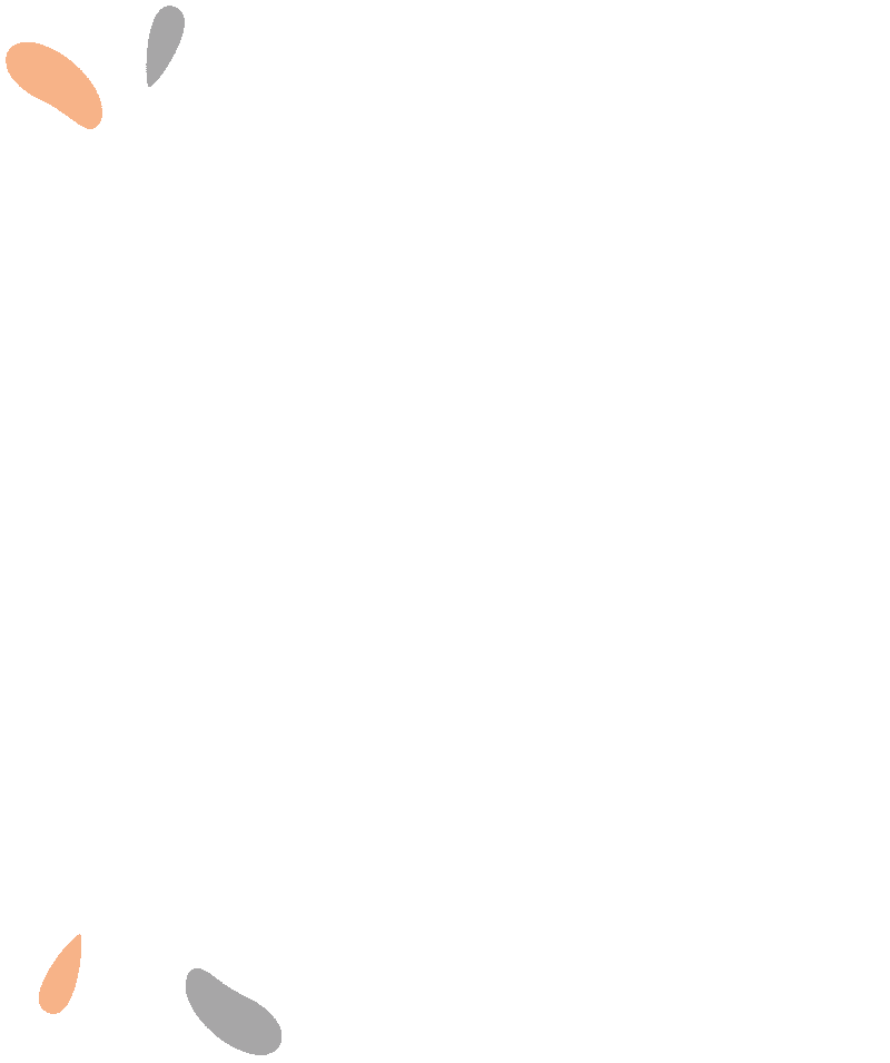 bg-developgroup