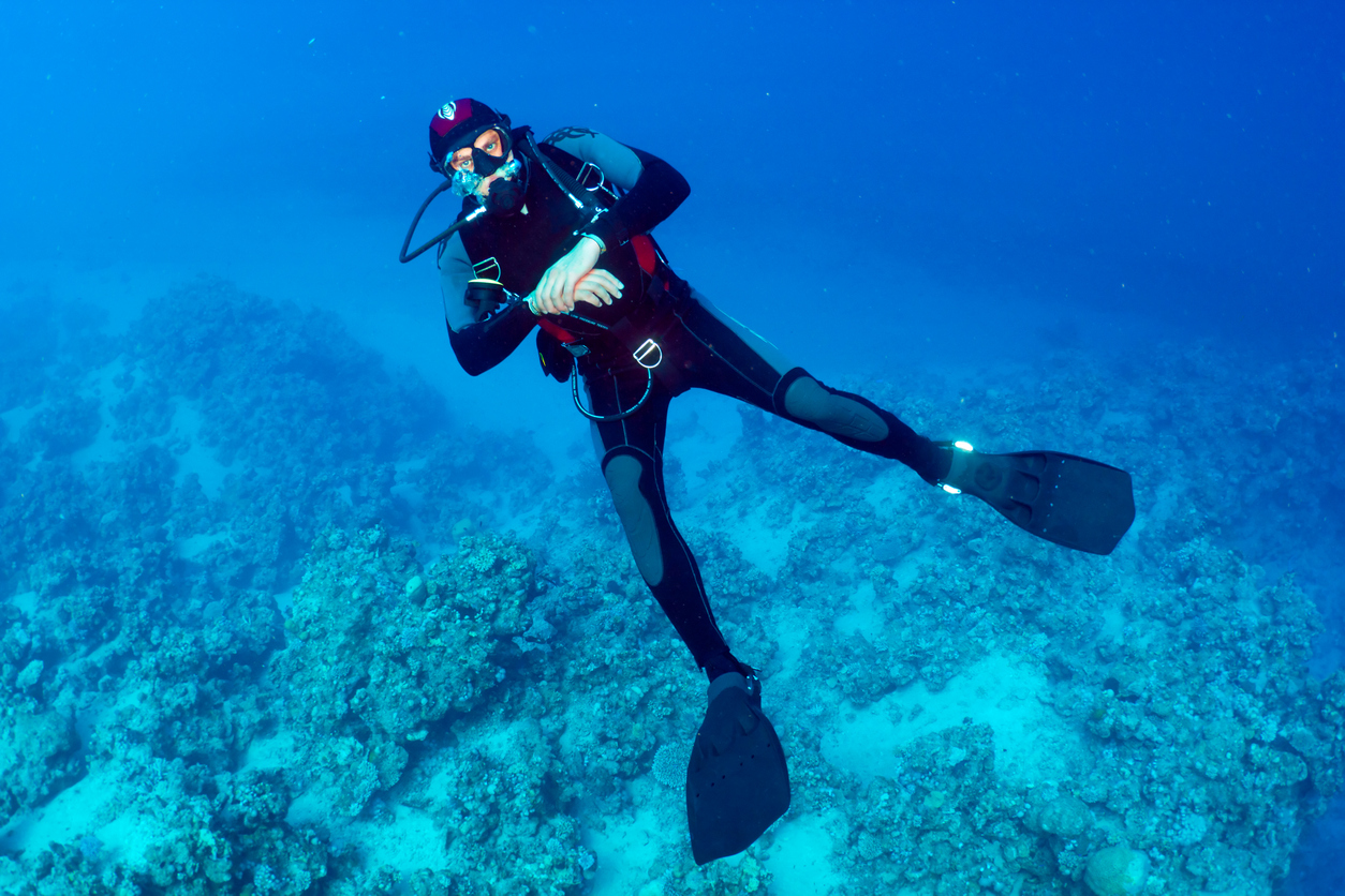 Diver